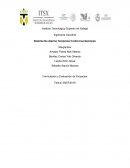 Sistema De Alarma Temprana Contra Inundaciones