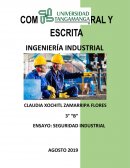SEGURIDAD E HIGIENE INDUSTRIAL