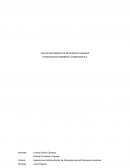 Ingeniería en Administración de Empresas mención Recursos Humanos