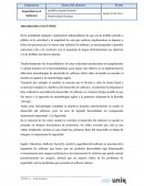 Introducción a los S-SDLC