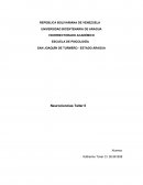 Neurociencias Taller II