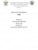 Ensayo de documental home