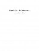 Enfermeria holistica