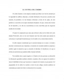 El centinela del cerebro