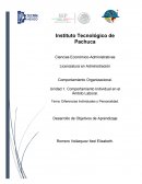 Comportamiento Individual en el Ámbito Laboral.Diferencias Individuales y Personalidad
