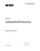 FACTIBILIDAD TÉCNICO-ECONÓMICA DEL CULTIVO DE TOMATES HIDROPÓNICOS PARA SU COMERCIALIZACION