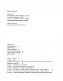 Estudio de mercado en el sector turístico