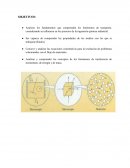 PRACTICA 1 DE FENOMENOS DE TRANSPORTE