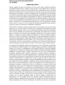 Comentario tipos de corrientes en los ríos de una cuenca