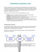 Organizaciones, comunicación y rumor