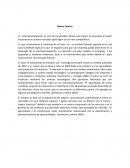 Modelo de internacionalizacion Uppsala