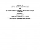 Actividad humana vs ambiente: extinción de la flora y la fauna