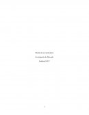 Diseño de un cuestionario Investigación de Mercado