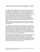 IMORTANCIA DE LA ECOLOGIA EN EL AMBITO AMBIENTAL Y LABORAL