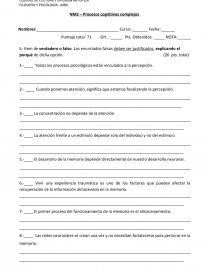 Prueba - Procesos cognitivos complejos. Página 1