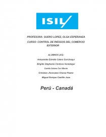 CONTROL DE RIESGOS DEL COMERCIO EXTERIOR. Página 1