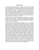 El proceso de internacionalización de la empresa ROOT+CO