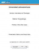 Proyecto Final Psipatologia