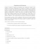Experimento del Semestre