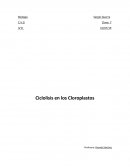 Ciclolisis en los Cloroplastos