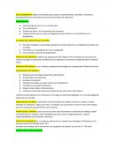 Definiciones de manufactura 1