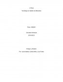 Salvar el planeta ¿locura o estupidez?