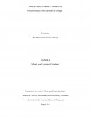 Primera entrega proyecto gerencia sostenible y ambiental