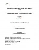 Comportamiento individual