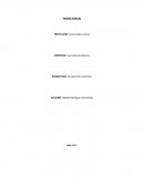 Pensamiento sistémico. PLANTEAMIENTO DE POSIBLES CAUSAS Y SOLUCIÓNES