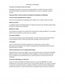 Marketing con WhatsApp resumen