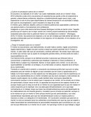 ¿Cuál es mi percepción acerca de un mentor?