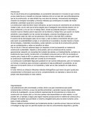 Taller emprendedores