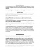 Construcción de software