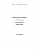 PRACTICA # 2 “FACTORES EDAFOGENICOS”