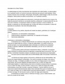 Abordajes de la Salud Pública