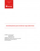 Actividad práctica para monitorear napa subterránea