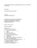 Aplicación del proceso de planeacion estrategica de la empresa GM Colmotores