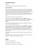 Análisis Operativo Reaseguros