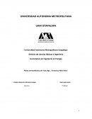 Planta termoeléctrica de Tula, Hgo., “Francisco Pérez Ríos”