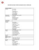 BALOTARIO DE HUESOS Y PARTES DEL ESQUELETO AXIAL Y APENDICULAR