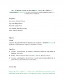 ESTRÉS SALINO EN FRIJOL