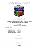 Naturaleza del flujo del aire y cuantificación del promedio temporal del viento