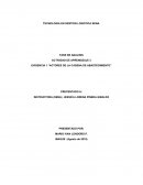 Actores de la cadena de abastecimiento, Molino de arroz “Tierra Grata”