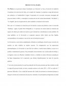 Proyecto Tía María