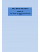 Examen Merchandising proyecto