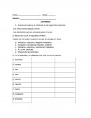 Actividad La ventanilla del bus