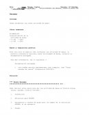 SAP procesos masivos