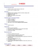 Ablactacion de 5 meses de edad a 12 meses