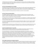 PRECIOS DE TRANSFERENCIA