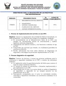 DIRECTRICES PARA LA REALIZACIÓN DE LAS PRÁCTICAS PRE-PROFESIONALES